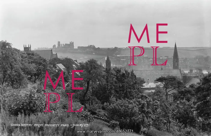 : Whitby from Pannett Park : Whitby from Pannett Park