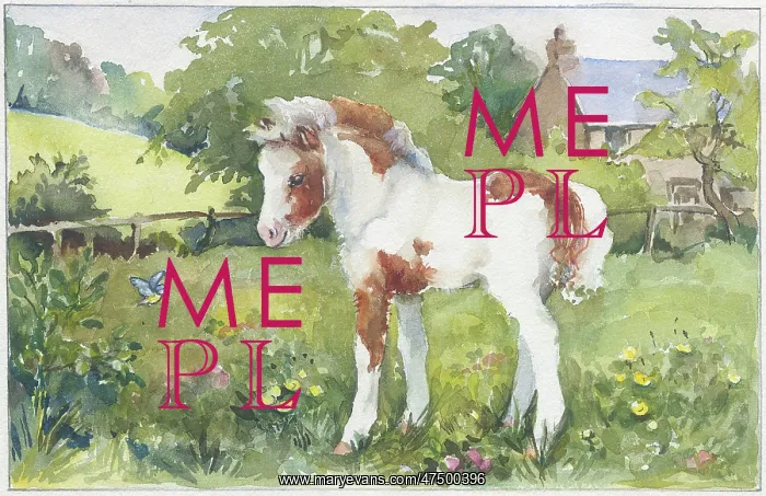 : White and brown foal looking at a blue tit : White and brown foal looking at a blue tit