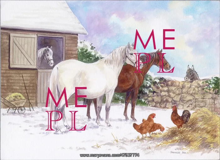 : White and brown mares in snow : White and brown mares in snow