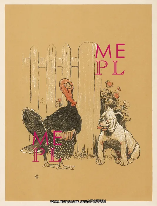  : White bulldog and turkey