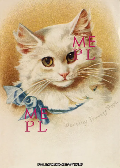 : White Cat, Blue Bow
