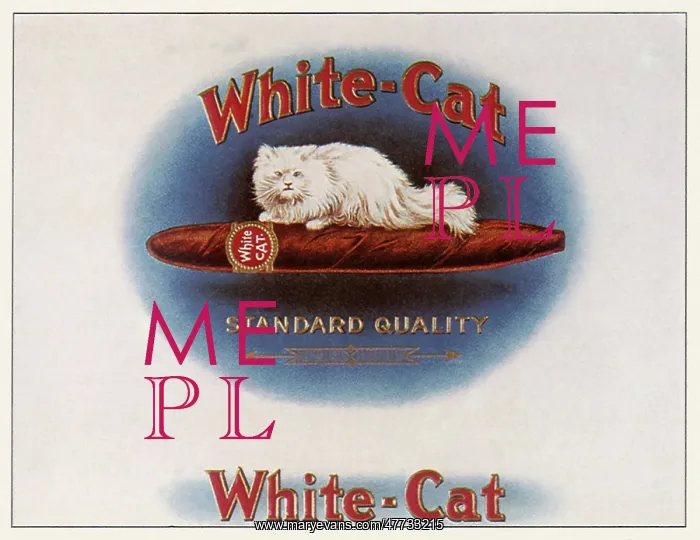  : White-Cat Cigars