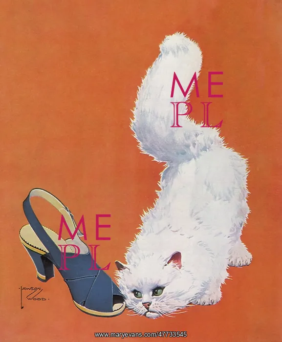  : White Cat eyes Shoe