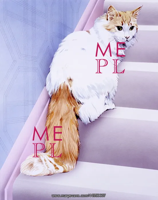 : White cat with ginger tail / face on stairs : White cat with ginger tail / face on stairs