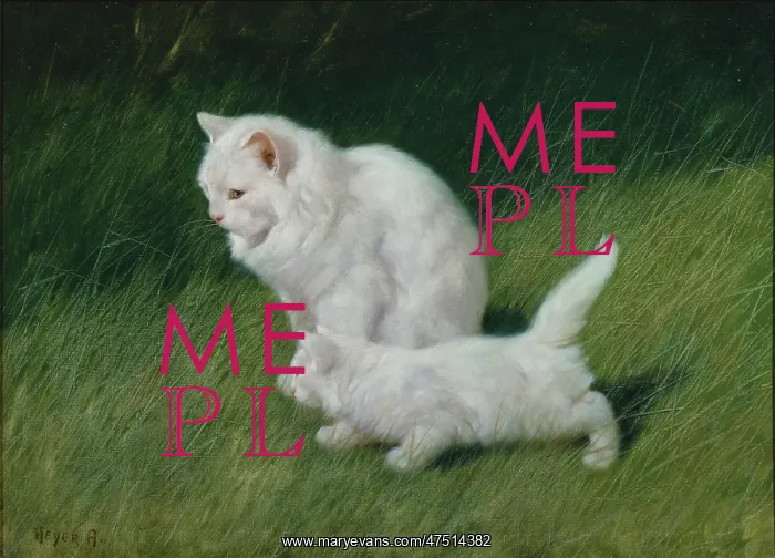 : White Cat and Kitten in the Grass : White Cat and Kitten in the Grass