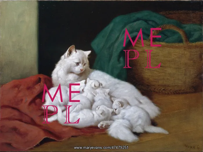 : White Cat with Five Kittens : White Cat with Five Kittens