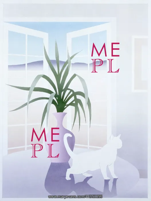 : White cat on a table by an open window : White cat on a table by an open window