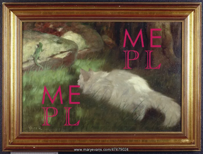 : White Cat Watching a Lizard : White Cat Watching a Lizard