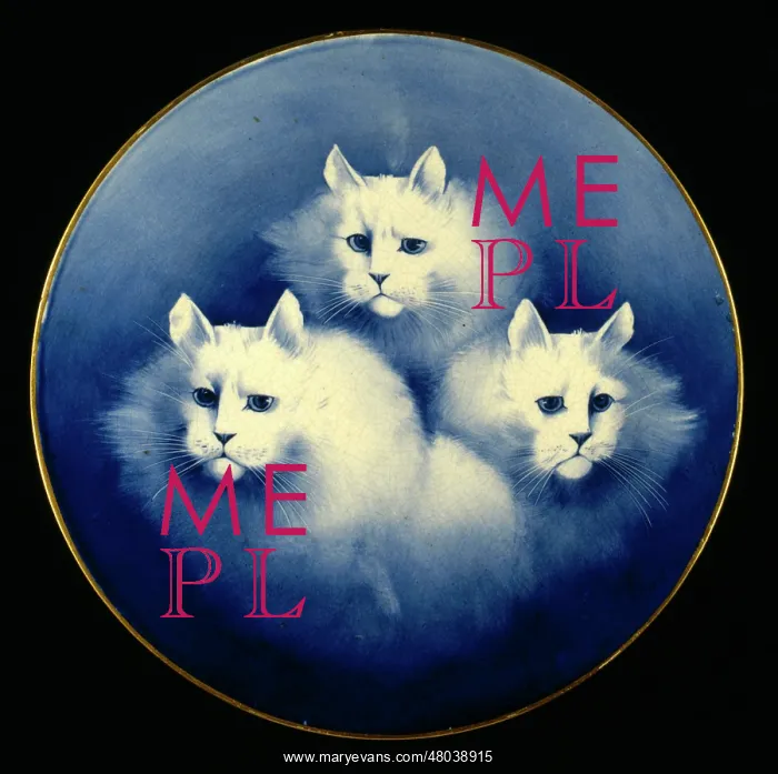  : Three white cats