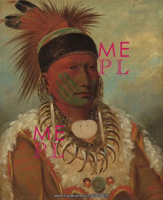: The White Cloud, Ioway Chief, by George Catlin : The White Cloud, Ioway Chief, by George Catlin