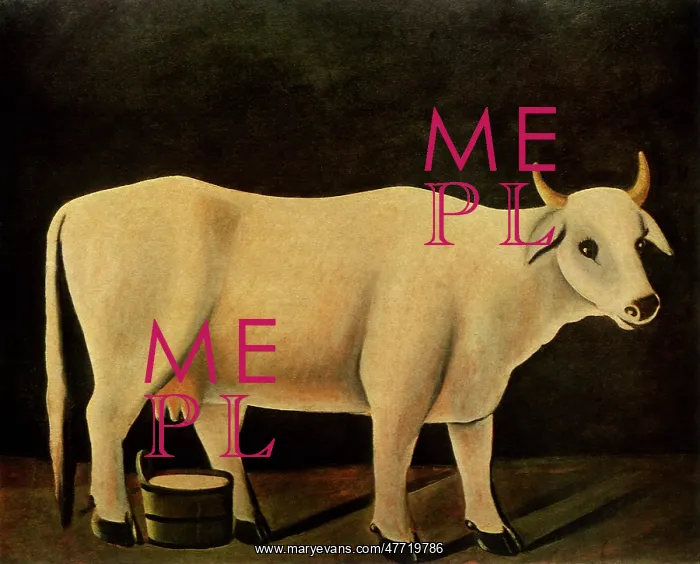  : White Cow on Black