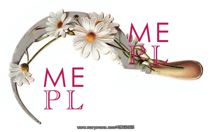 : White daisies and sickle on a cutout greetings card : White daisies and sickle on a cutout greetings card