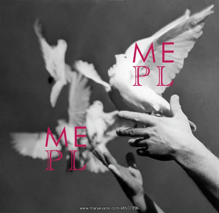 : White doves : White doves