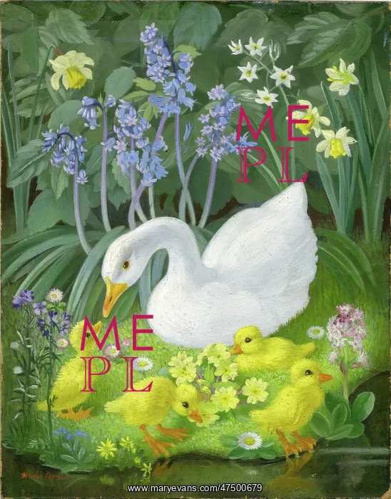 : White Duck and four ducklings : White Duck and four ducklings