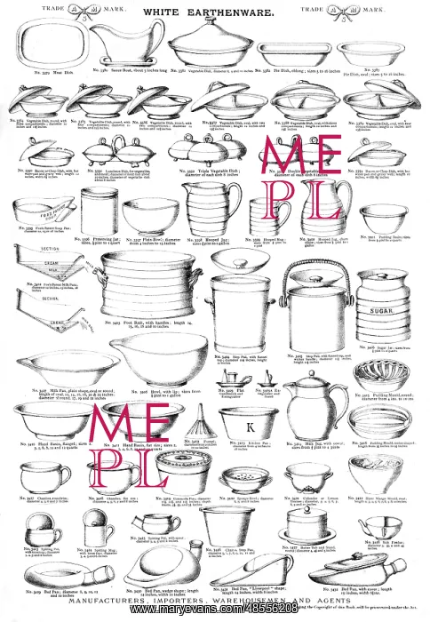 : White earthenware, Plate 59 : White earthenware, Plate 59