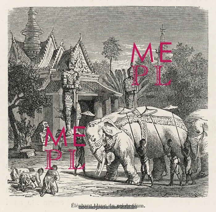 : WHITE ELEPHANT SIAM 19C : WHITE ELEPHANT SIAM 19C