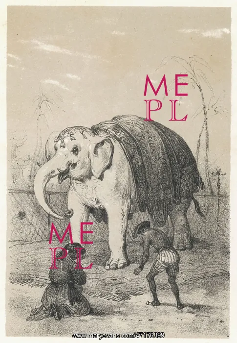 : WHITE ELEPHANT / SIAM : WHITE ELEPHANT / SIAM