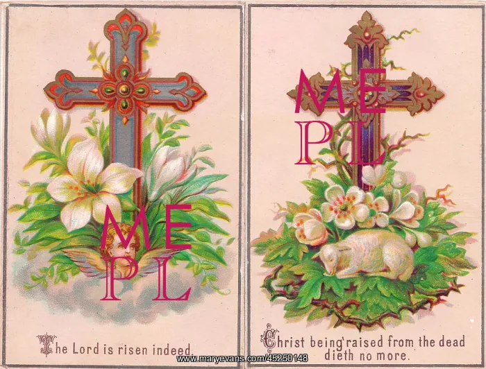 : White flowers and a cross on an Easter card : White flowers and a cross on an Easter card