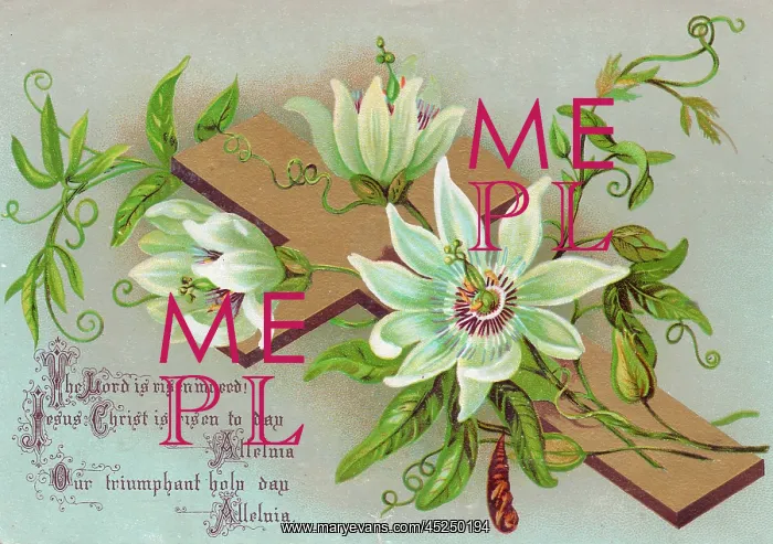 : White flowers and a cross on an Easter card : White flowers and a cross on an Easter card