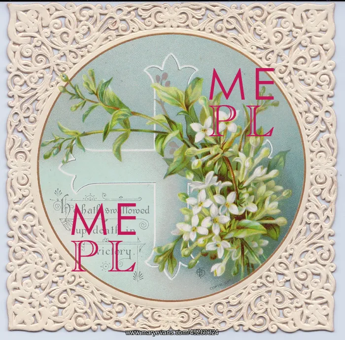 : White flowers on an Easter card : White flowers on an Easter card