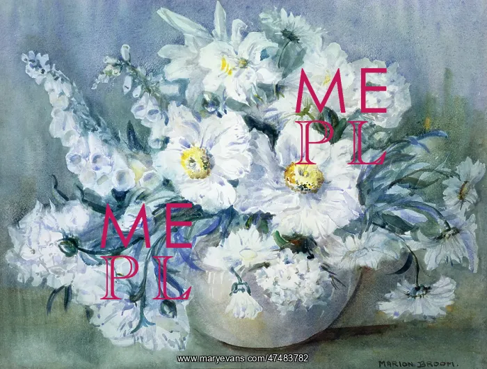  : White Flowers foxgloves, poppies etc