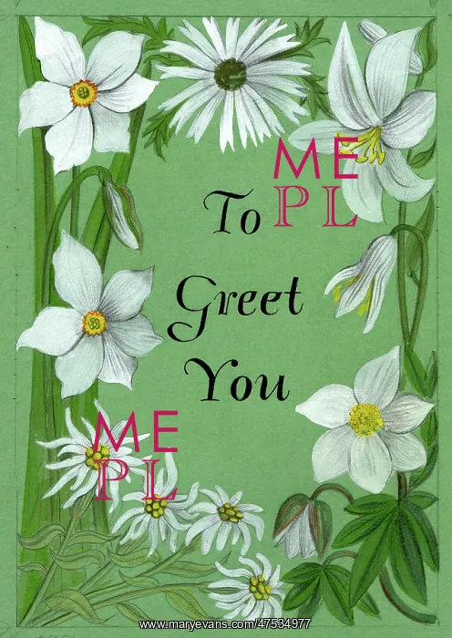 : White flowers on green background : White flowers on green background