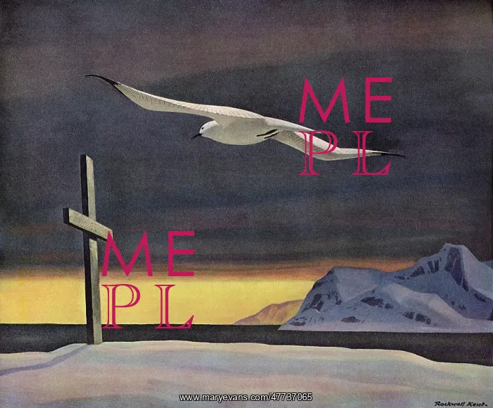 : White Gull flies over Cross : White Gull flies over Cross