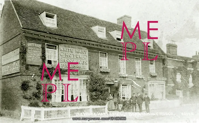: The White Hart Hotel : The White Hart Hotel