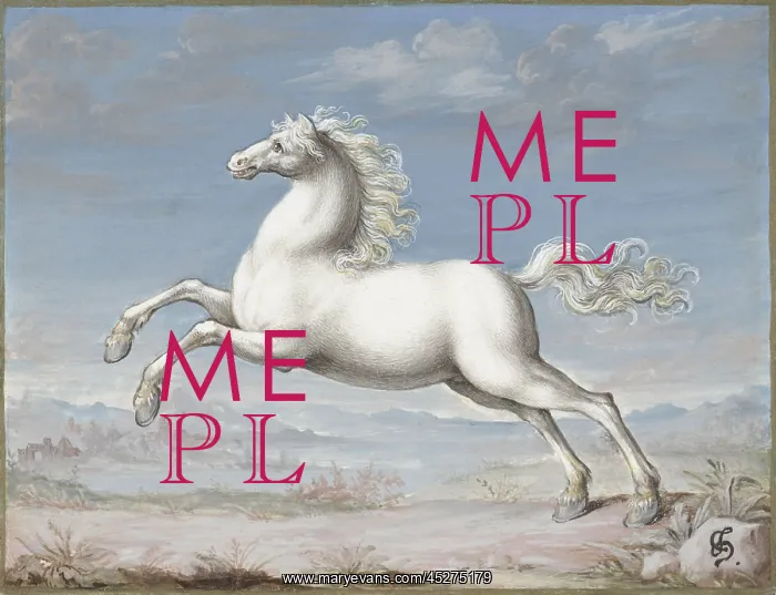 : White Horse : White Horse