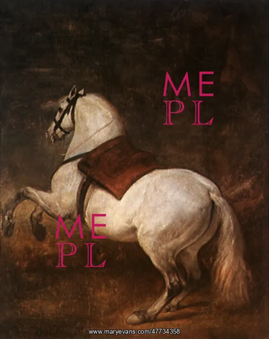  : A White Horse, by Velazquez