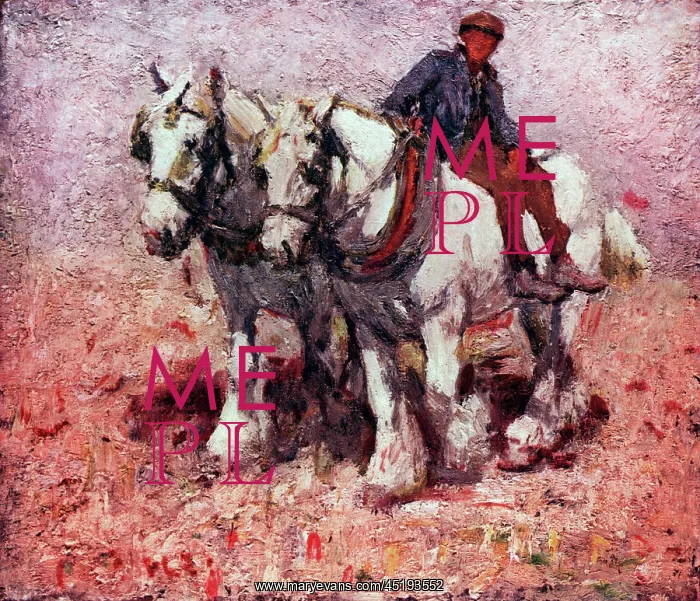 : Two White Horses : Two White Horses