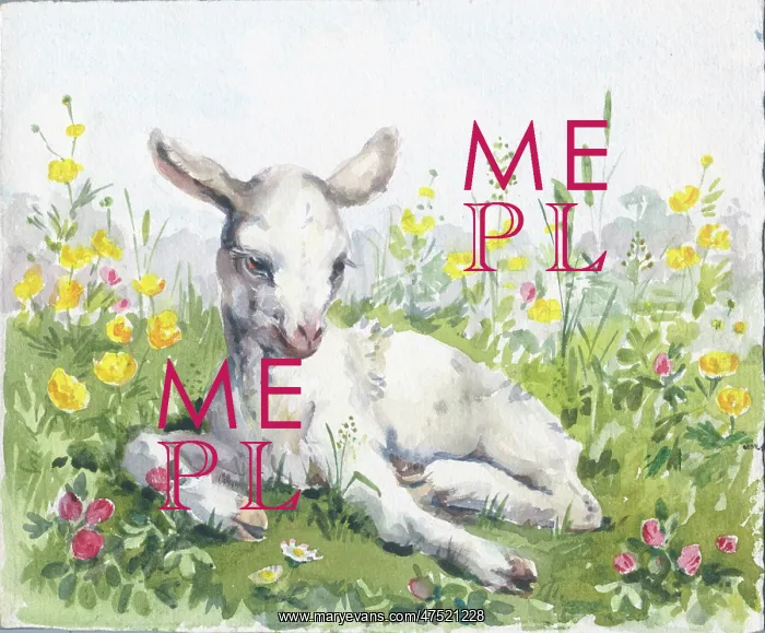 : White kid in a field of buttercups : White kid in a field of buttercups