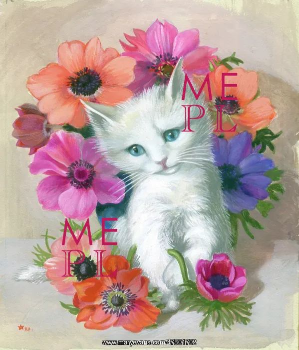  : White Kitten with Anemones