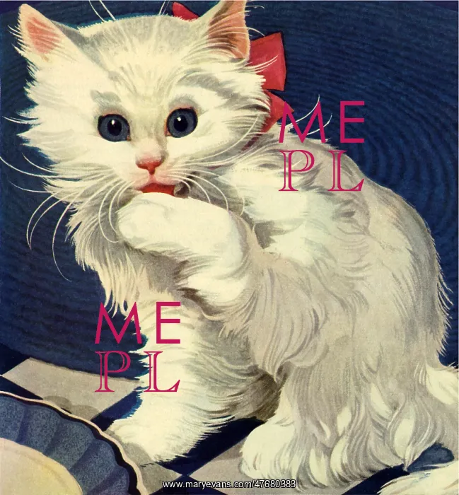  : White Kitten Licking Paw