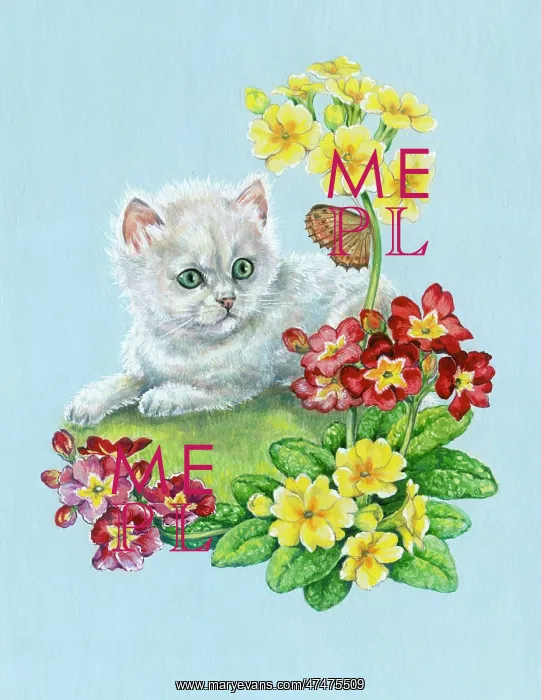  : White Kitten with polyanthus and butterfly