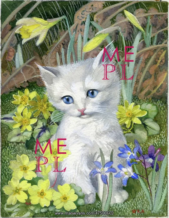 : White Kitten among spring flowers : White Kitten among spring flowers