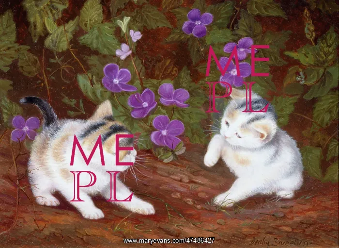  : Two White Kittens with Purple Flowers