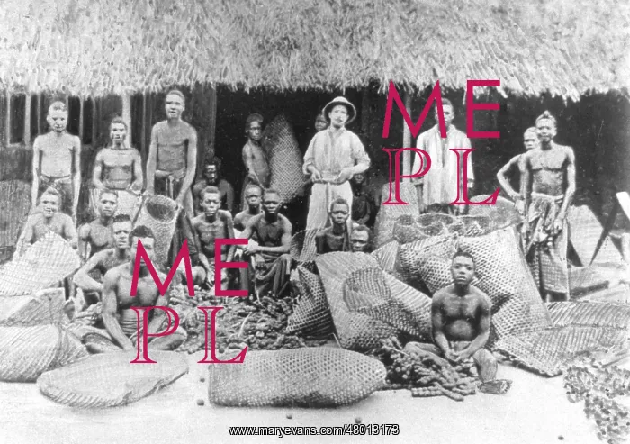 : White overseer with black workers in Belgian Congo, 1899 : White overseer with black workers in Belgian Congo, 1899