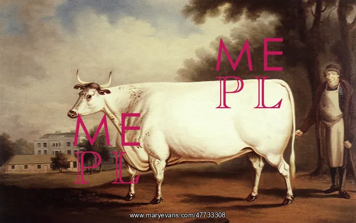  : White Ox and Herdsman