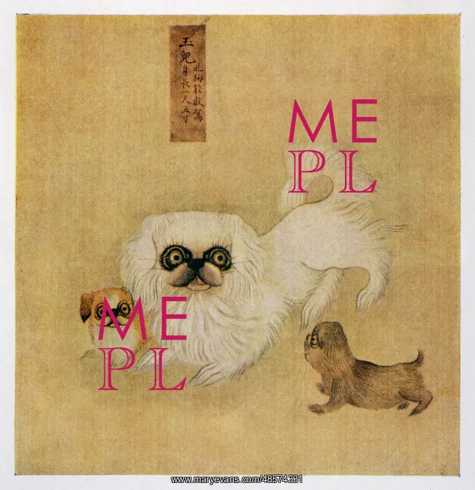 : A white pekingese dog and puppies - China : A white pekingese dog and puppies - China