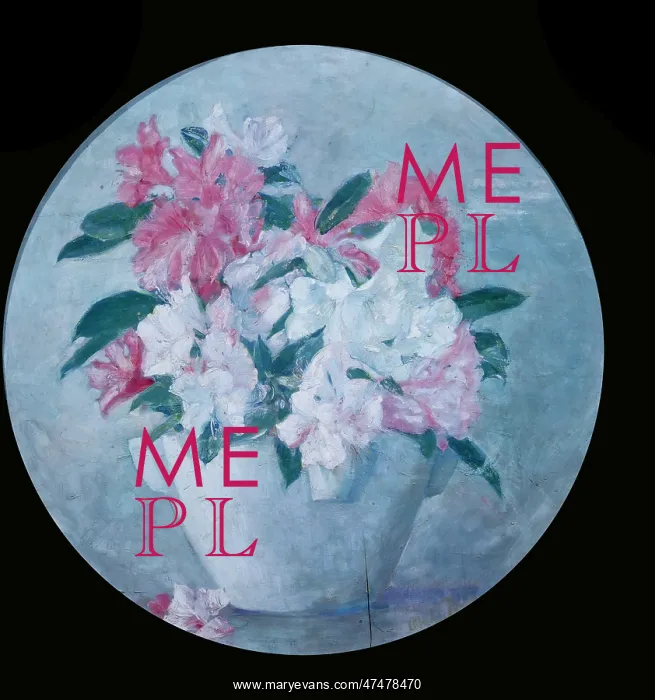 : White & Pink Rhododendrons in a White Vase : White & Pink Rhododendrons in a White Vase