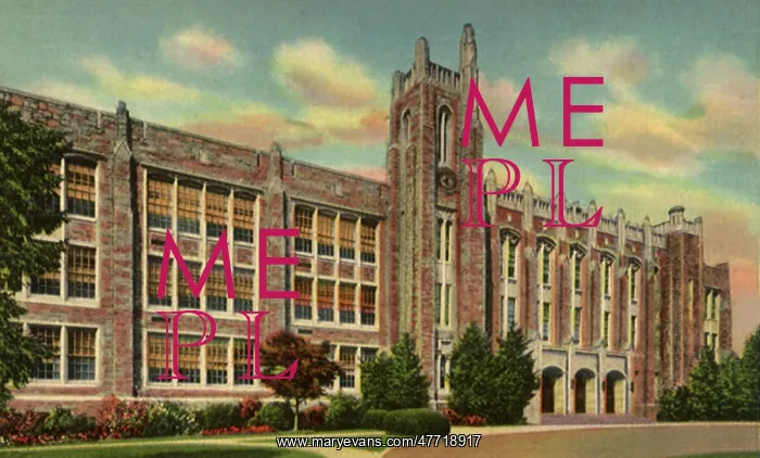 : White Plains High School. White Plains : White Plains High School. White Plains