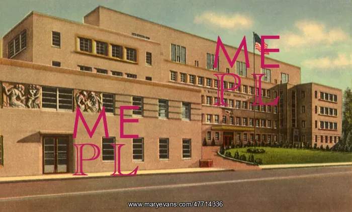  : White Plains Hospital. White Plaines