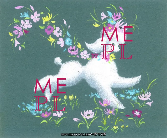  : White Poodle with flowers