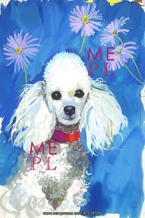 : White Poodle with mauve daisies : White Poodle with mauve daisies