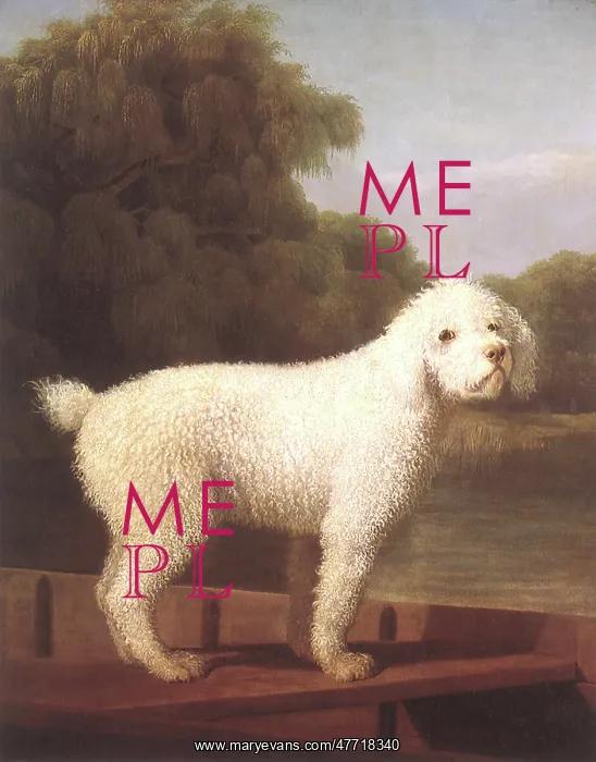  : White Poodle in Punt, by Stubbs