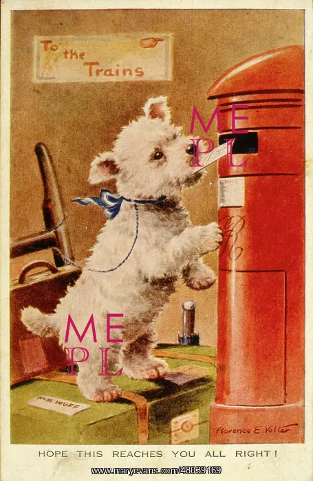 : White puppy posting a letter : White puppy posting a letter