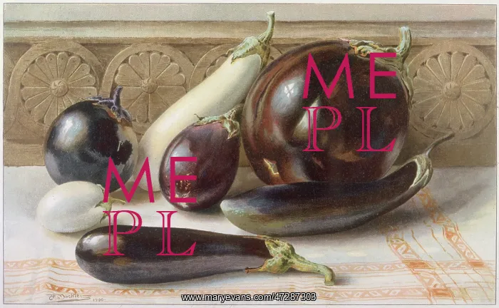 : White and purple aubergines : White and purple aubergines