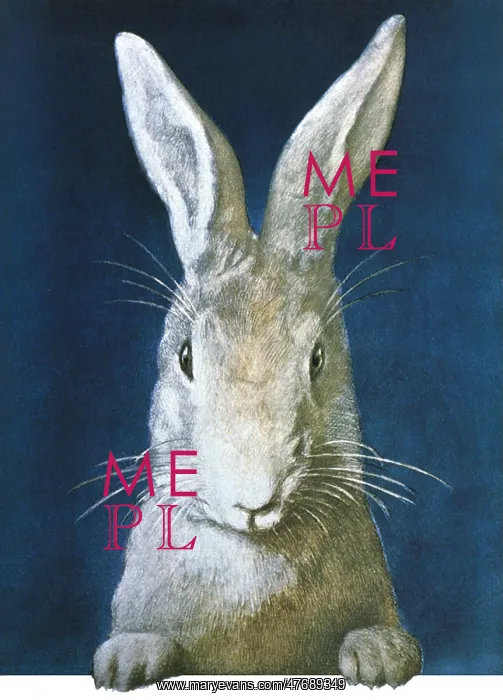  : White Rabbit