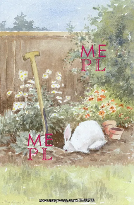 : White Rabbit Burrowing in Garden : White Rabbit Burrowing in Garden